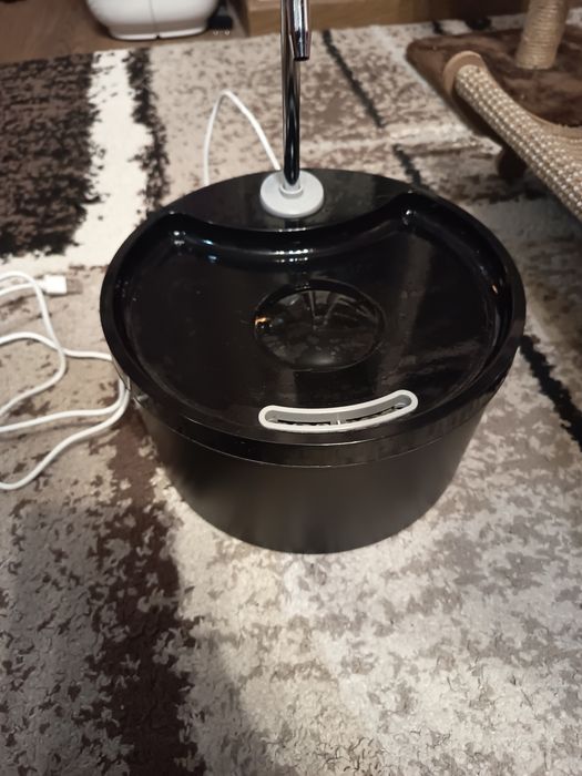 Котешко легло, фонтан и драсалки