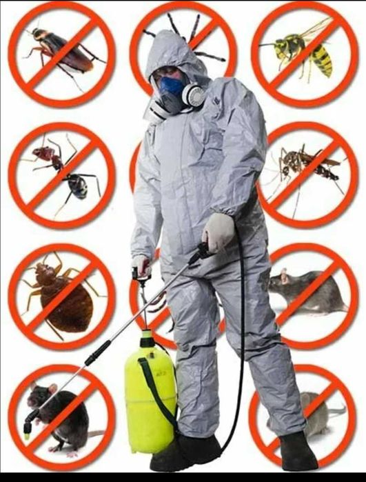 Бытовая химия д.е.з.и.н.ф.е.к.ц.и.я клопы тараканы крысы блохи туман