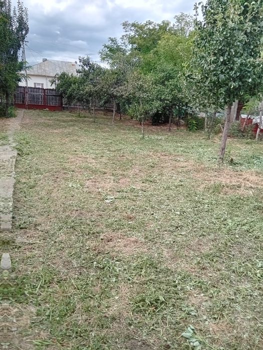 Casă cu teren 1100 mp – Movila Banului, jud. Buzău – 5 min de A7, 85 k