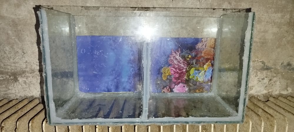 Akvarium sotiladi uzunliqi 35 boyi 22sm 15L 60 ming kami bo urganch