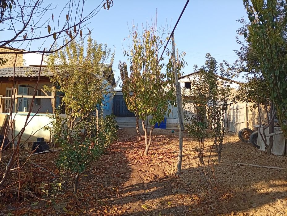 Hovli Srochniy sotiladi 6sotix