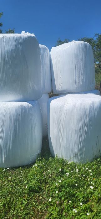 Vând baloti infoliati