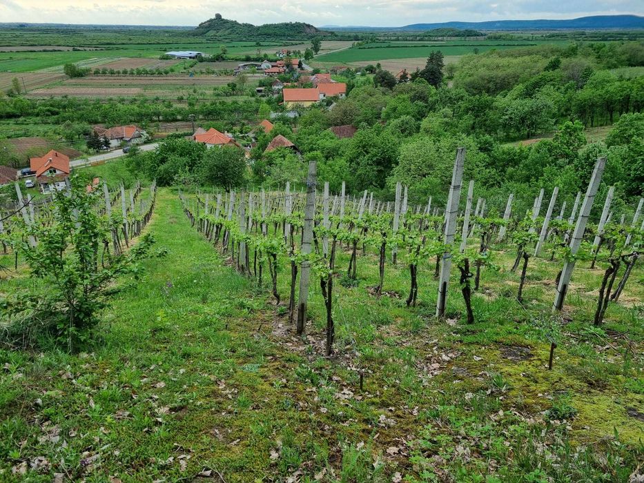Casă Vilă de vînzare