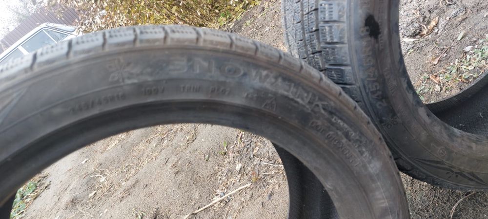 Шины зимние TRIANGLE