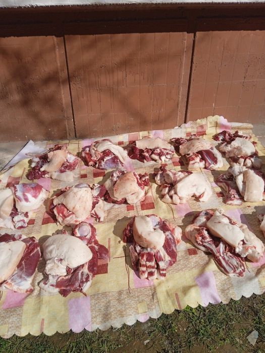 Qo’chqorlar, qassob xizmati