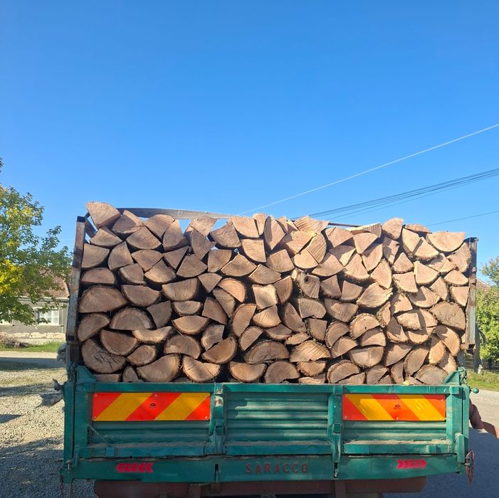 Vand lemne uscate si verzi 0️⃣7️⃣7️⃣3️⃣3️⃣2️⃣3️⃣9️⃣1️⃣7️⃣