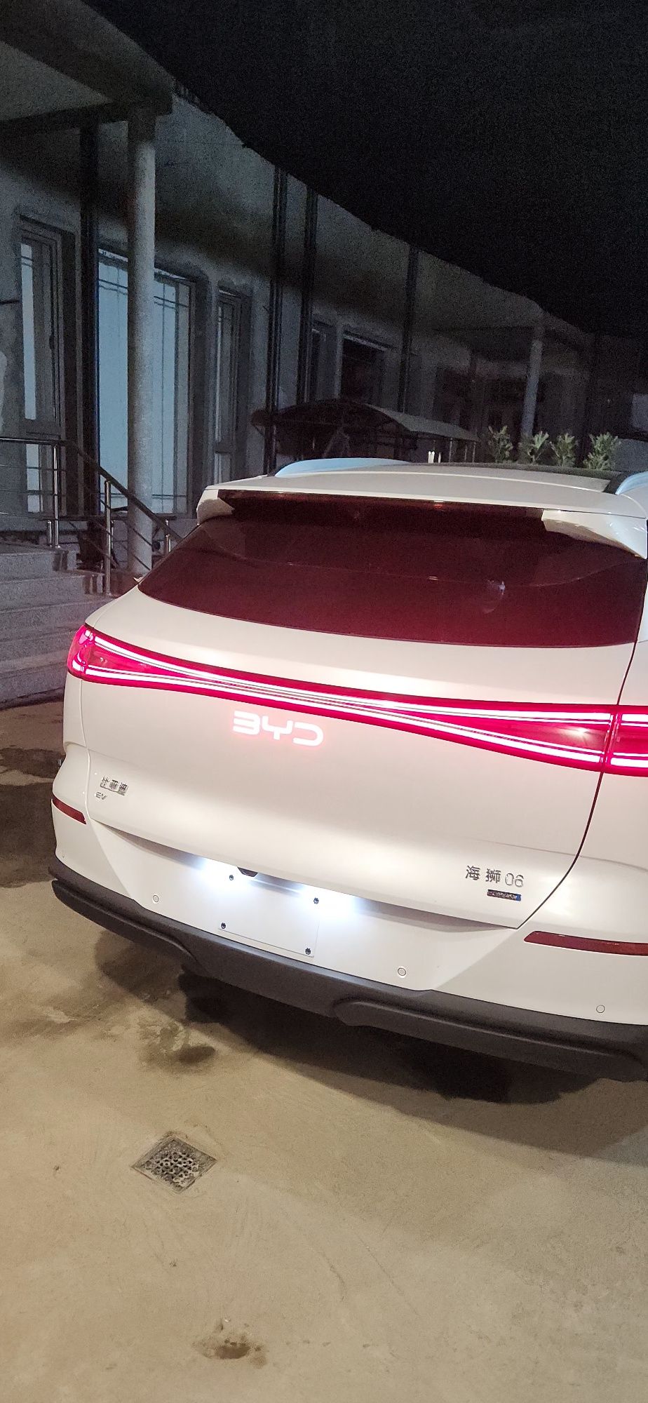 BYD sea lion 06 2025
