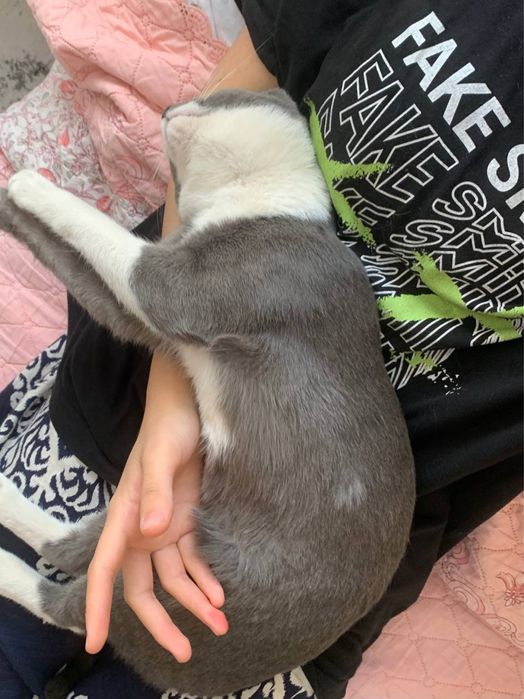 Mushuk tekinga beriladi yaxshi qaridiganla aloqaga chiqila trkinga ber