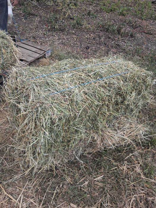 Vand baloti de lucerna