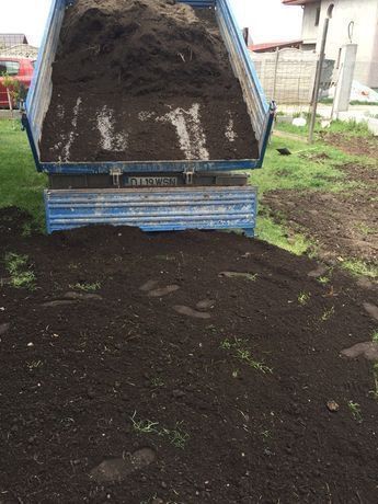 Pamant vegetal de flori(ciorogarla,crevedia,malu spart,bolintin,tantav