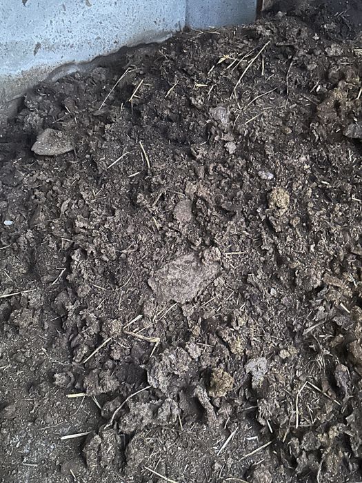 Пору сотилади манзил селький