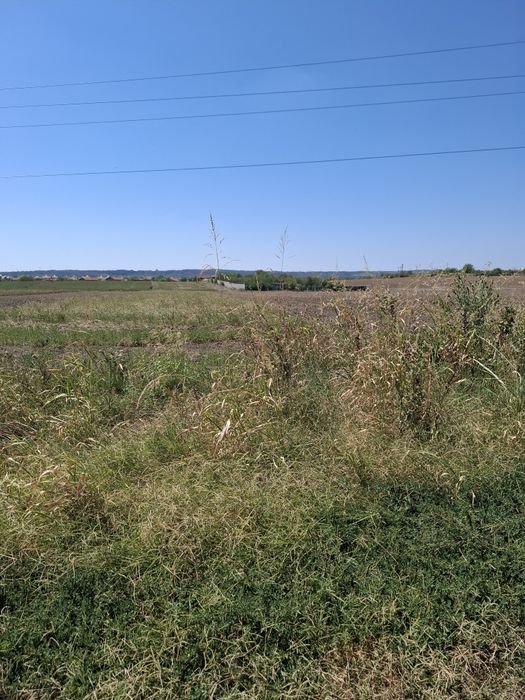 Vand teren Simian parcelat oferta bomba