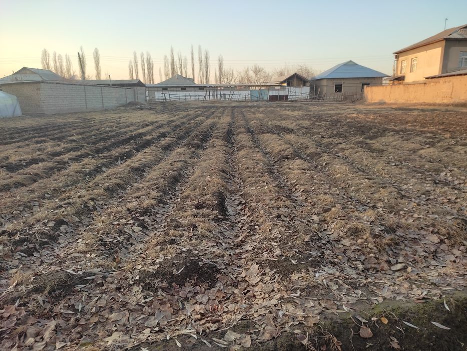 ПРОДАЁТСЯ  УЧАС..        18.5 СОТОК.