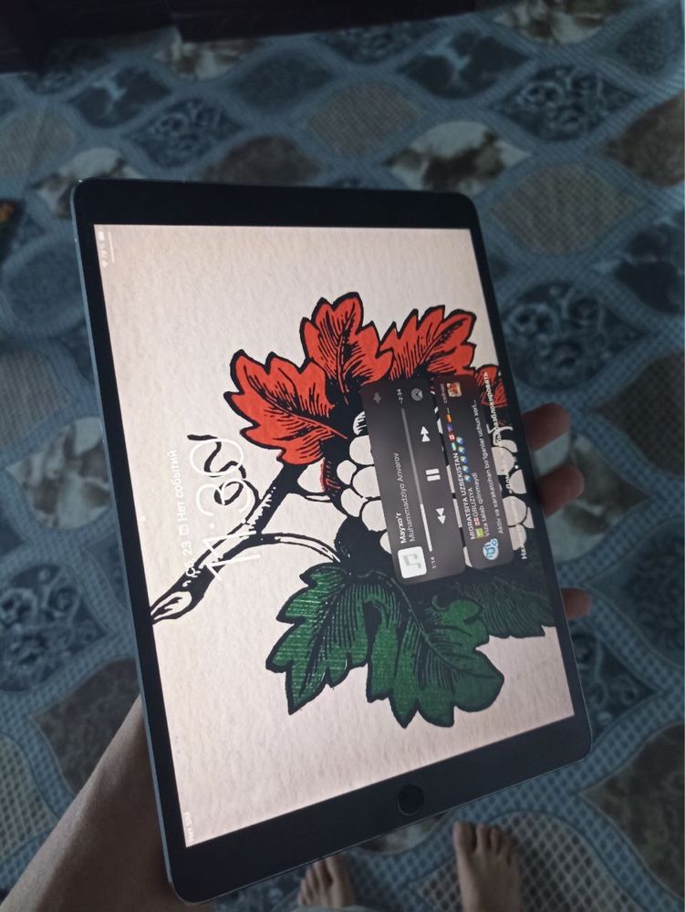 iPad Pro 10.5 dyum