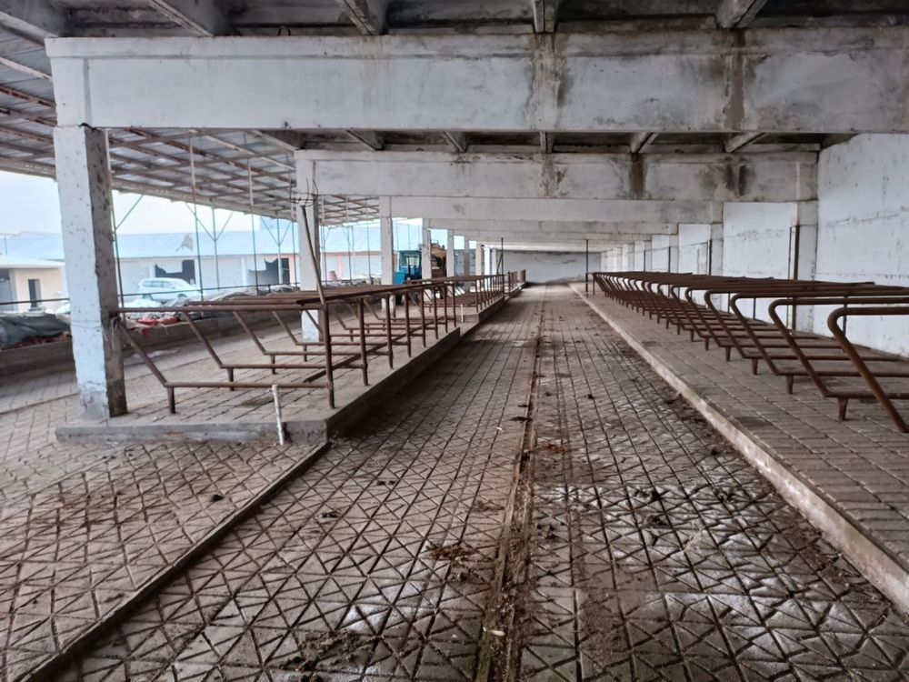 Сдам в аренду територию 36.8 соток юкори чирчикский район кол. Правда