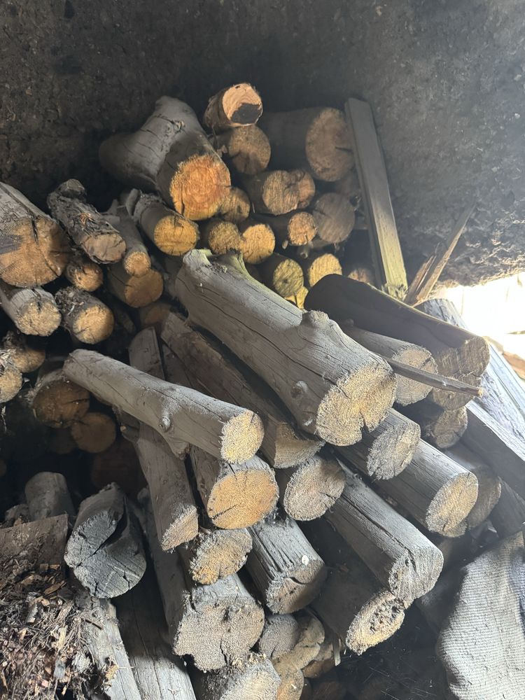 Продам дрова в мешках