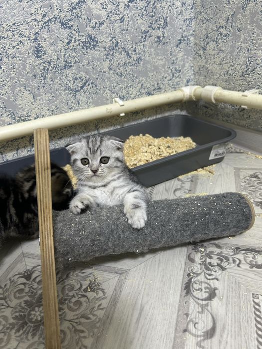 Обращаться только реальным покупателям