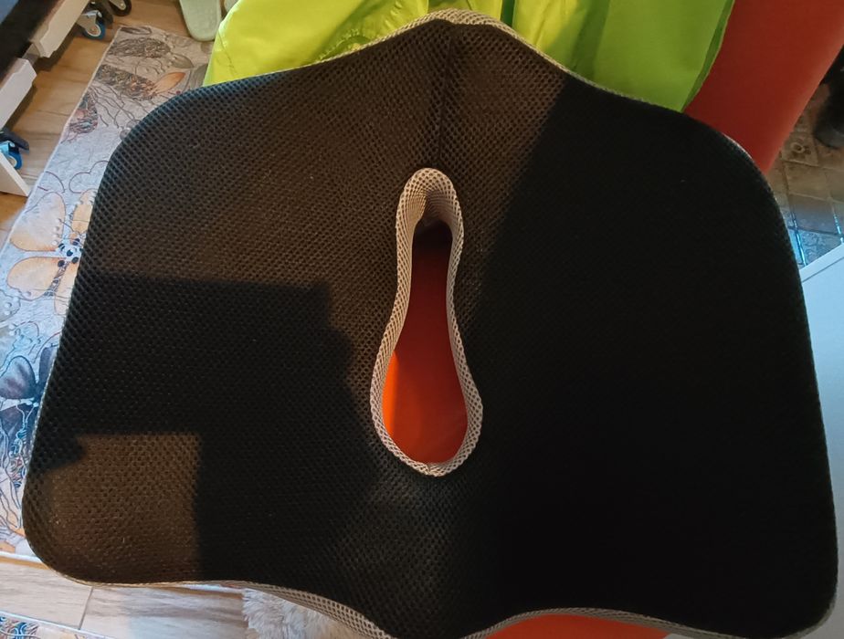 Perna anatomica șezut