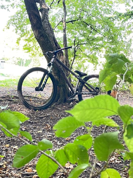 Bicicleta cube flyng circuls