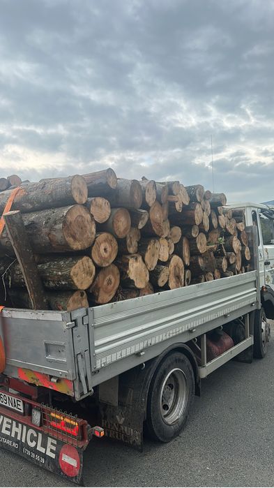 Lemne de ofc esenta tare