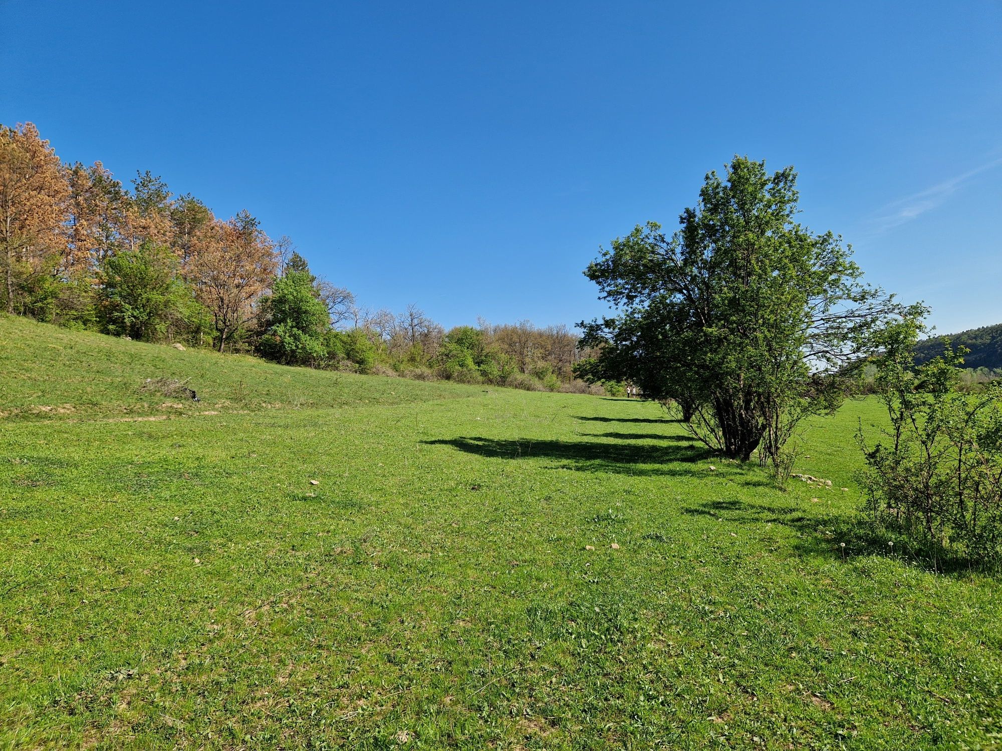 Teren de vanzare. 5000mp
