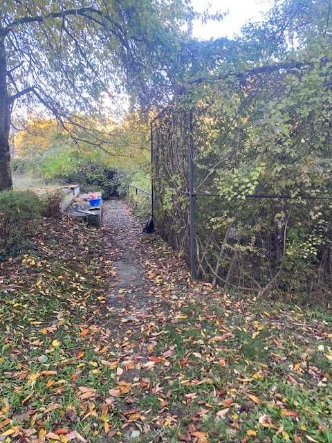 Дворове и парцели поддръжка - Рязане на храсти и дървета - Извозване