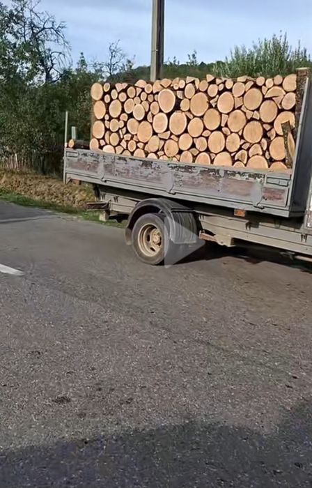 Vând lemn de foc exență tare transport gratuit ori  unde in țară