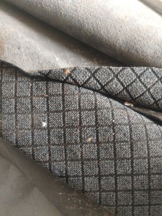 Пропадётся, коаролан