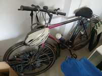 Bicicleta cu schimbatoare
