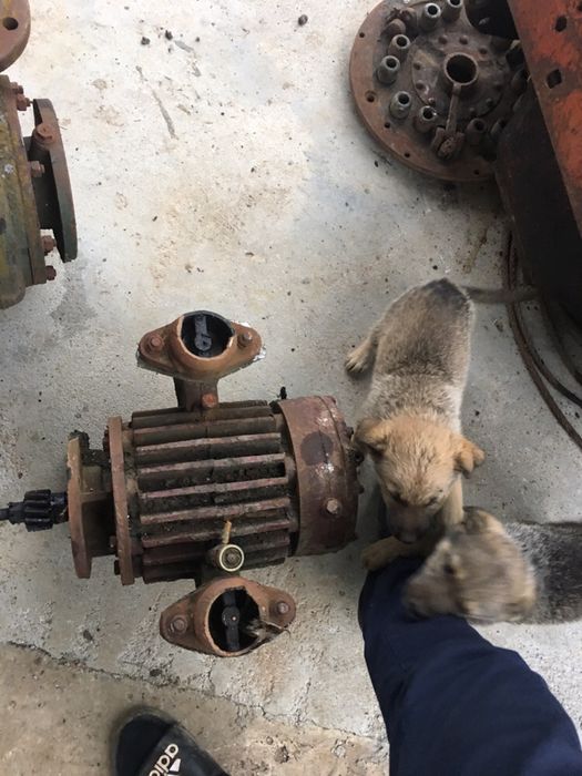 Pompa vidanja romaneasca sau alte piesa