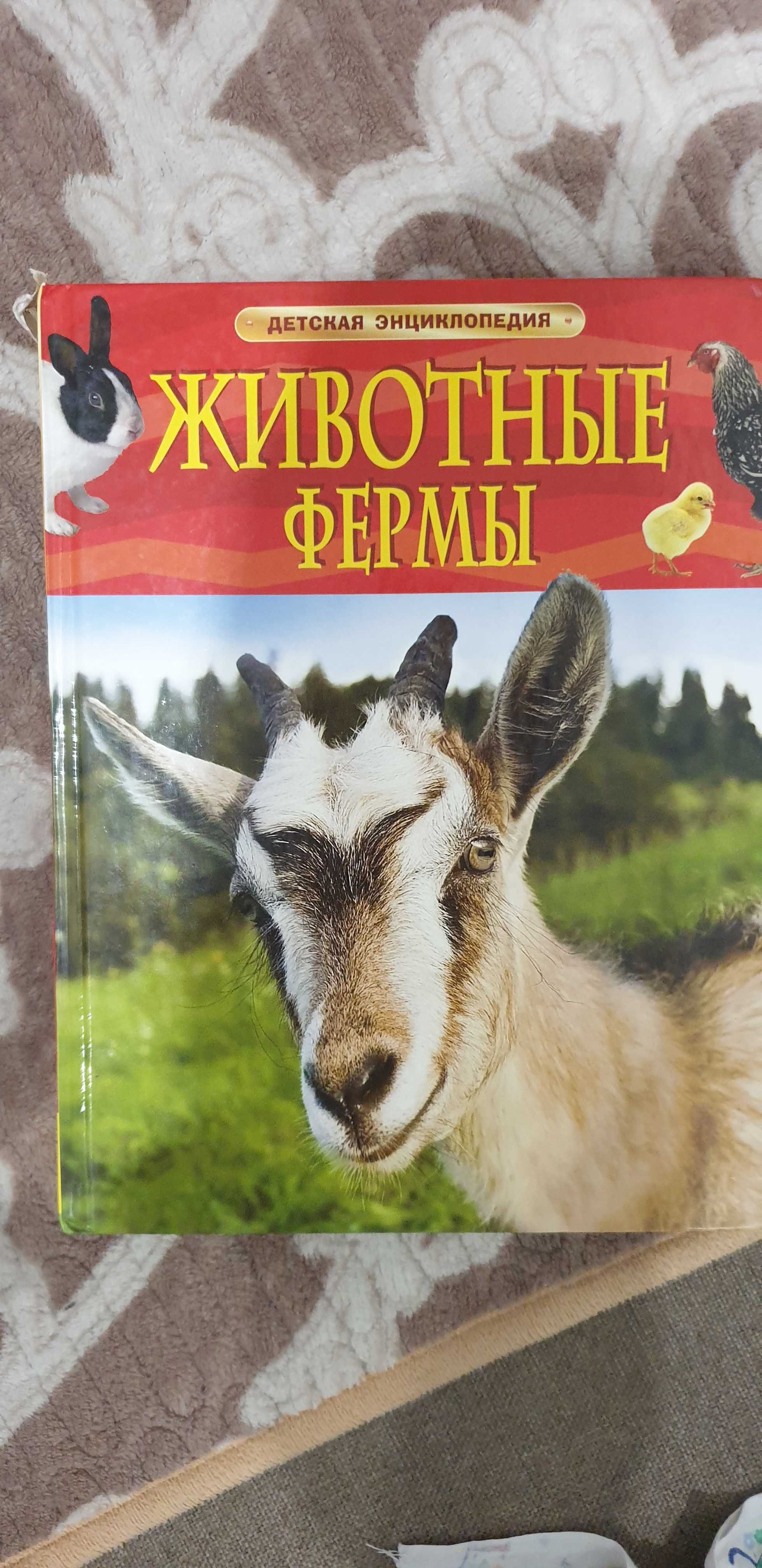 Коллекция эницклопедий