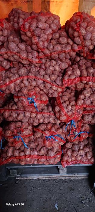 Vand cartofi consum alb