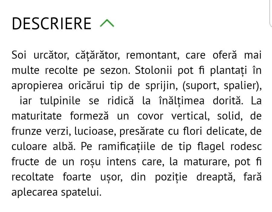 Capsuni urcatori