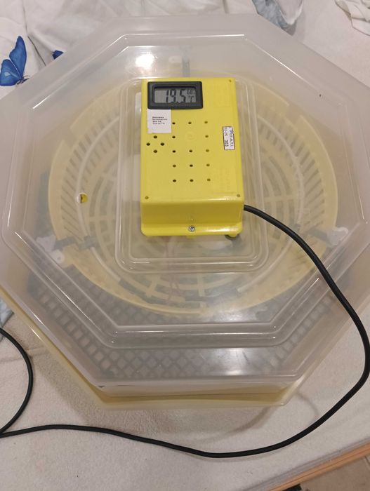 Incubator pentru oua