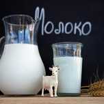 Натуральное козье молоко!  Самое свежее козье молоко!