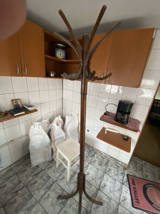 Cuier pom vechi peste 100 ani