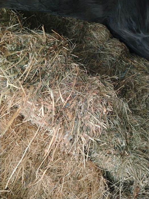 Vând baloti dreptunghiulari