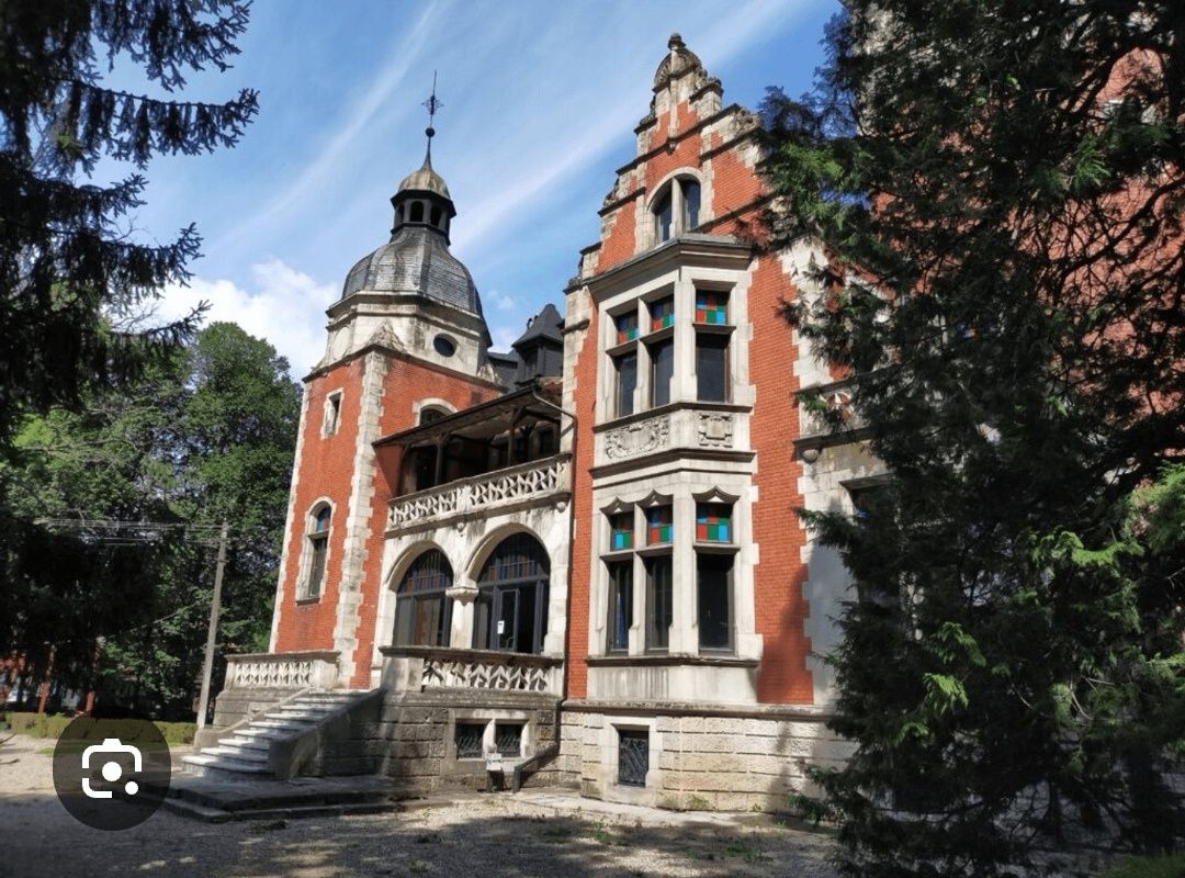 Domeniu monument istoric