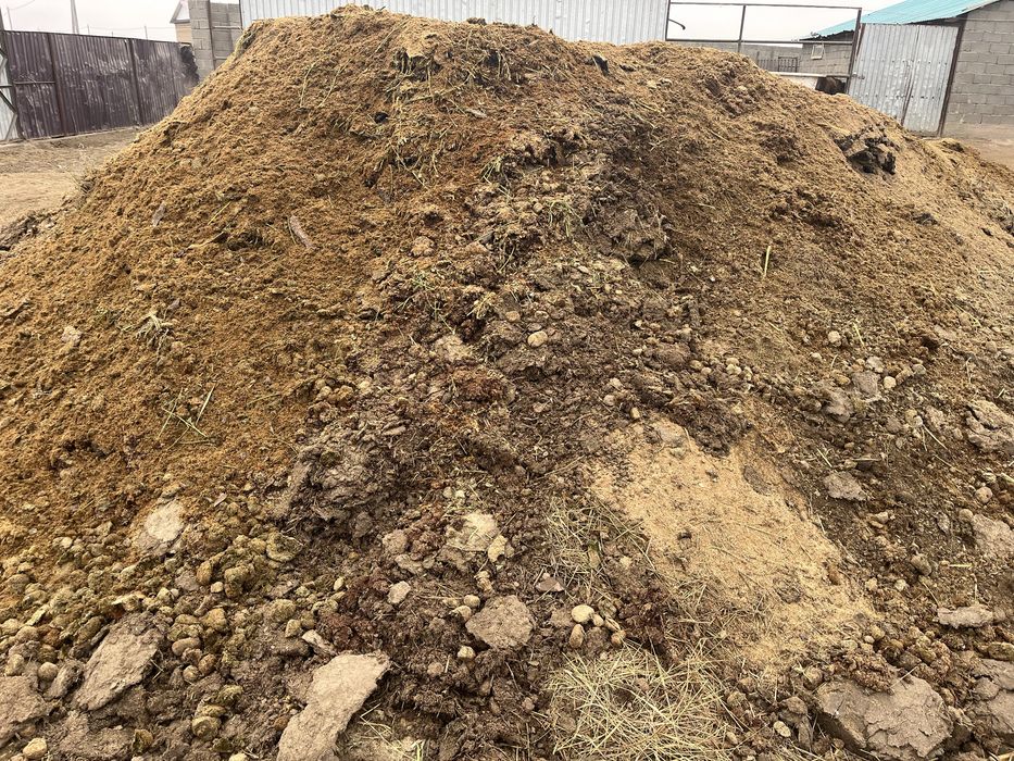 Жылқының көңі апилка аралас бәйге аттың көңі