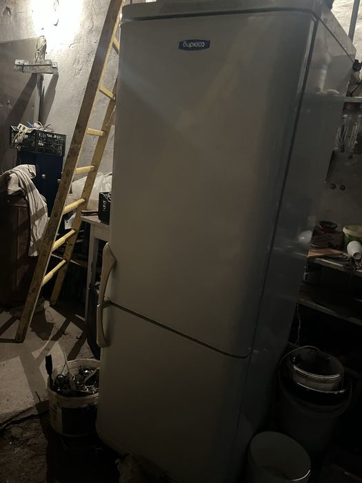 Холодильник Бирюса