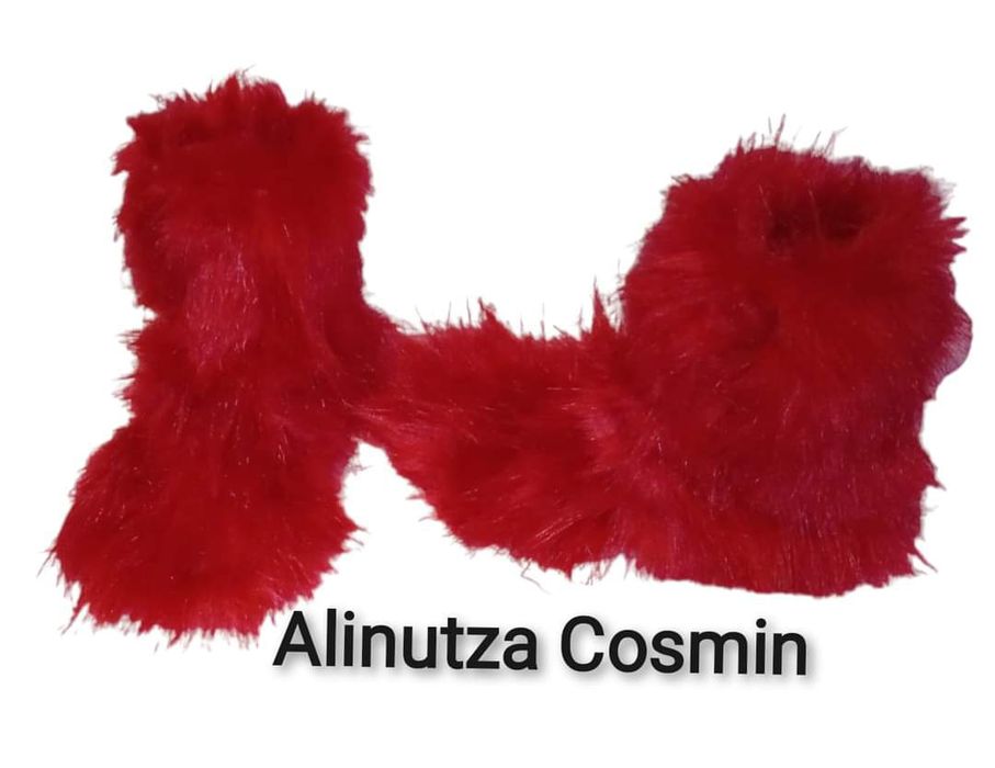 Geanta, cizme botoșei ...