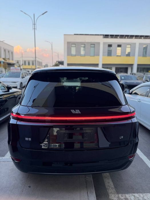 Li9 Ultra 2025 yil