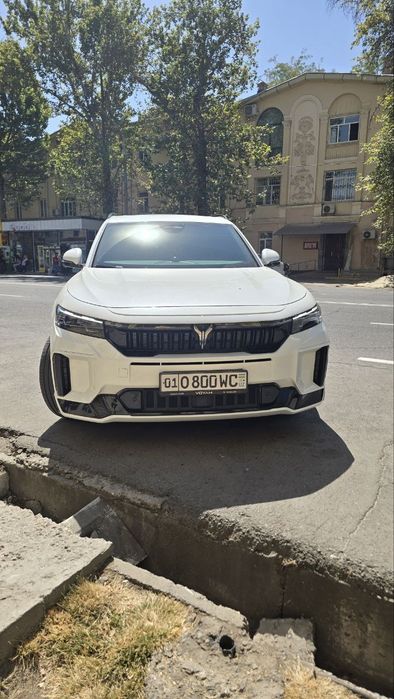 Voyah free Apollo tech 318