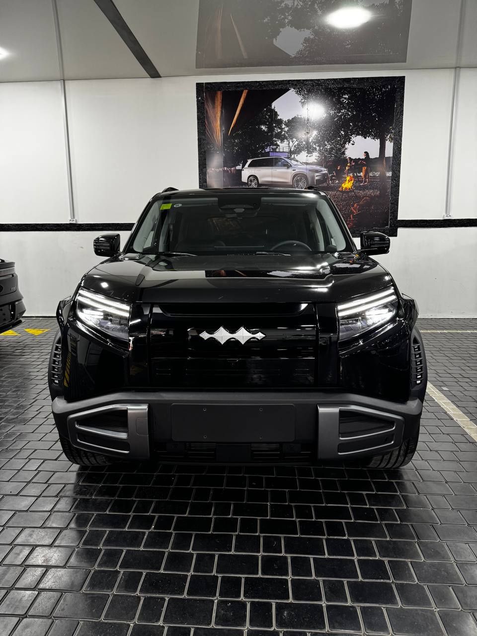 Byd Leopard 2025