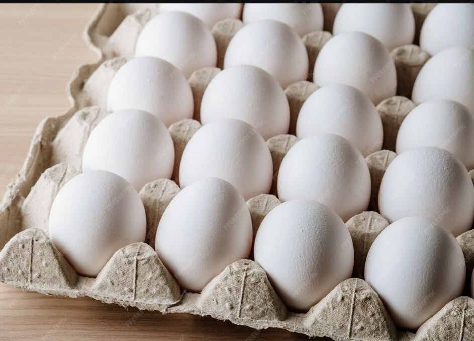 Яйцо куриное белое