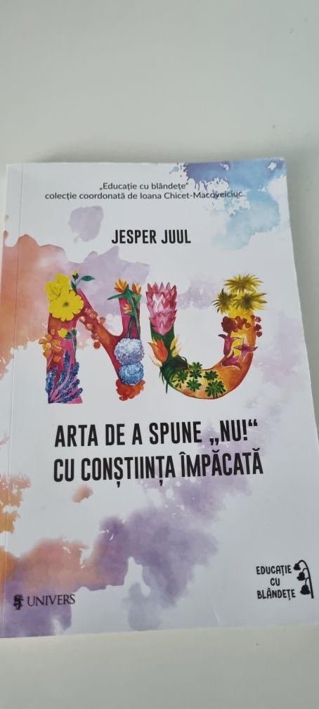 Vand Arta de a spune NU cu constiinta