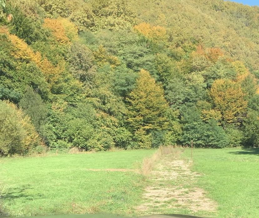 Teren de vanzare Somesu Rece intravilan