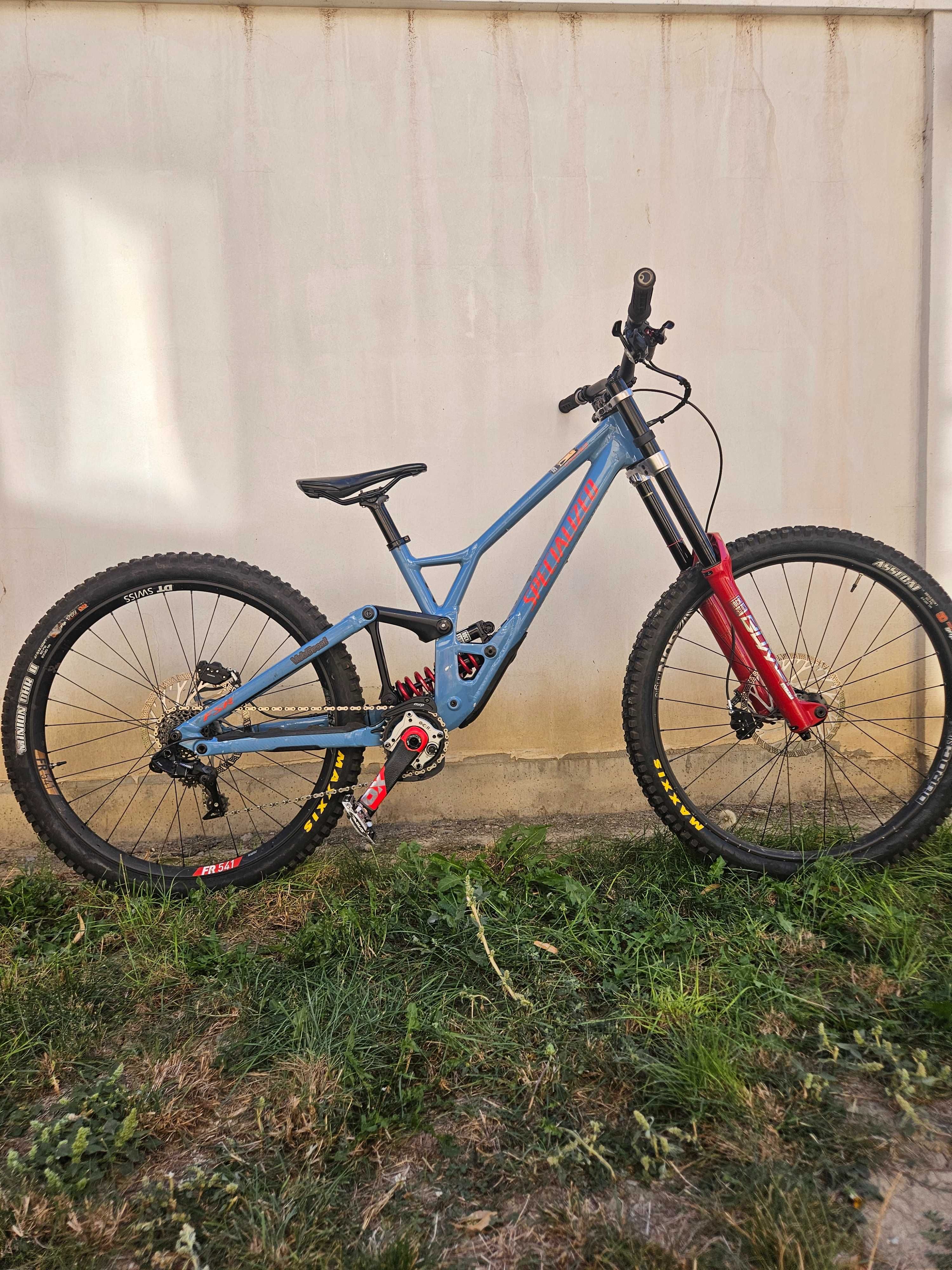 Specialized demo race