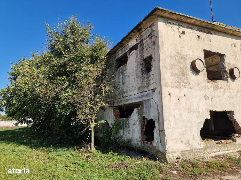 Hala de productie, teren 2.615 mp – Calea Borsului, Oradea