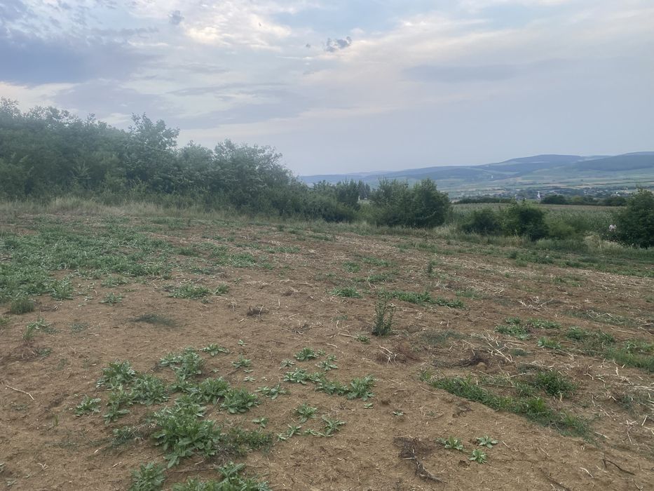 Teren watman 1500 m2